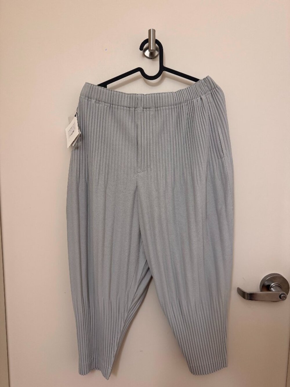 HOMME PLISSÉ ISSEY MIYAKE BASICS cropped; Size 2; Light Gray; Never worn, new